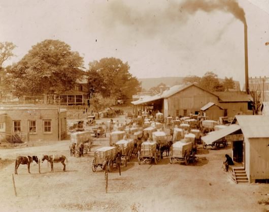 Horse-drawn wagons at the Piedmont cotton gin in the 1920s
