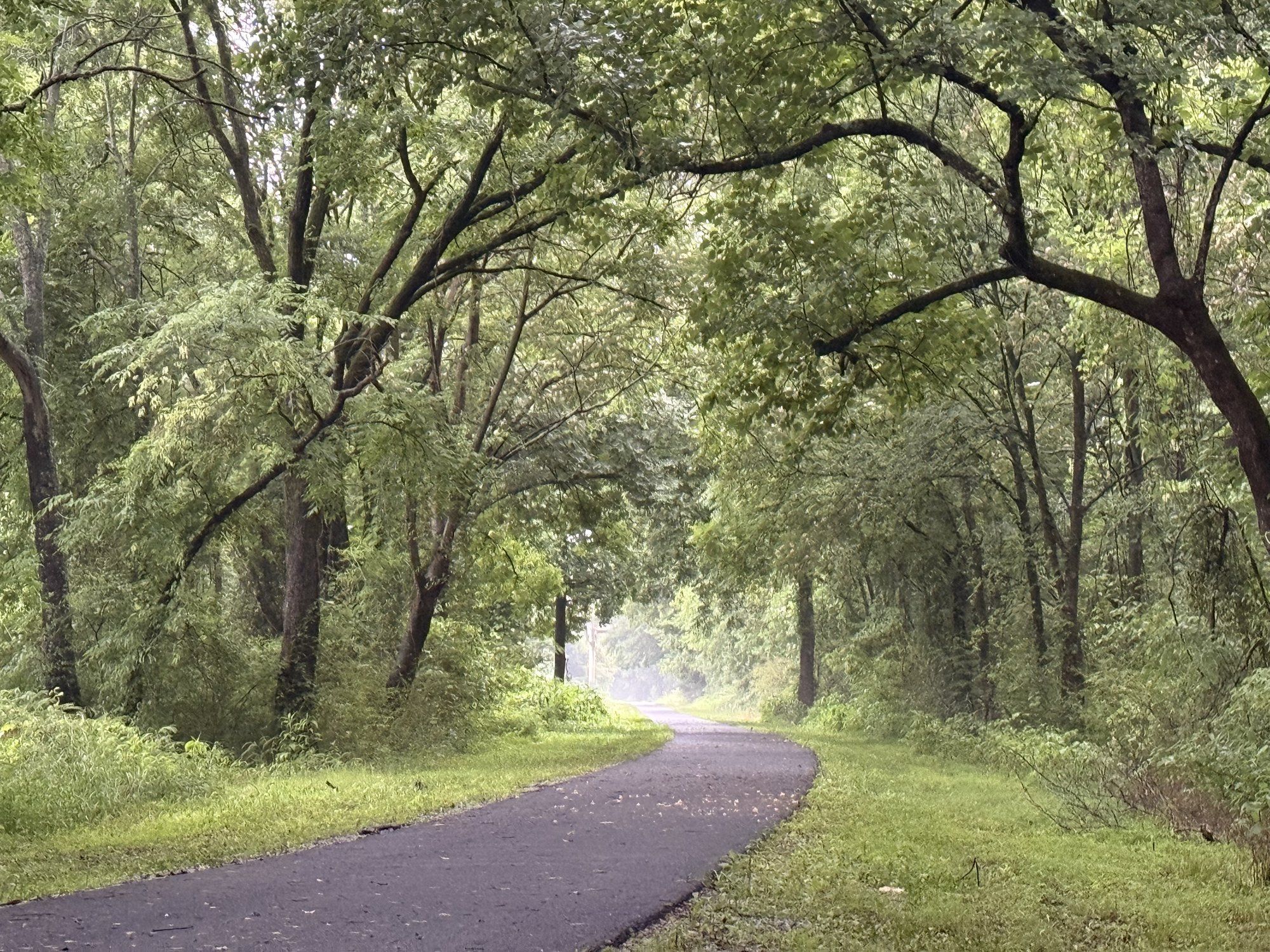 The Chief Ladiga Trail paved rail-trail near Piedmont