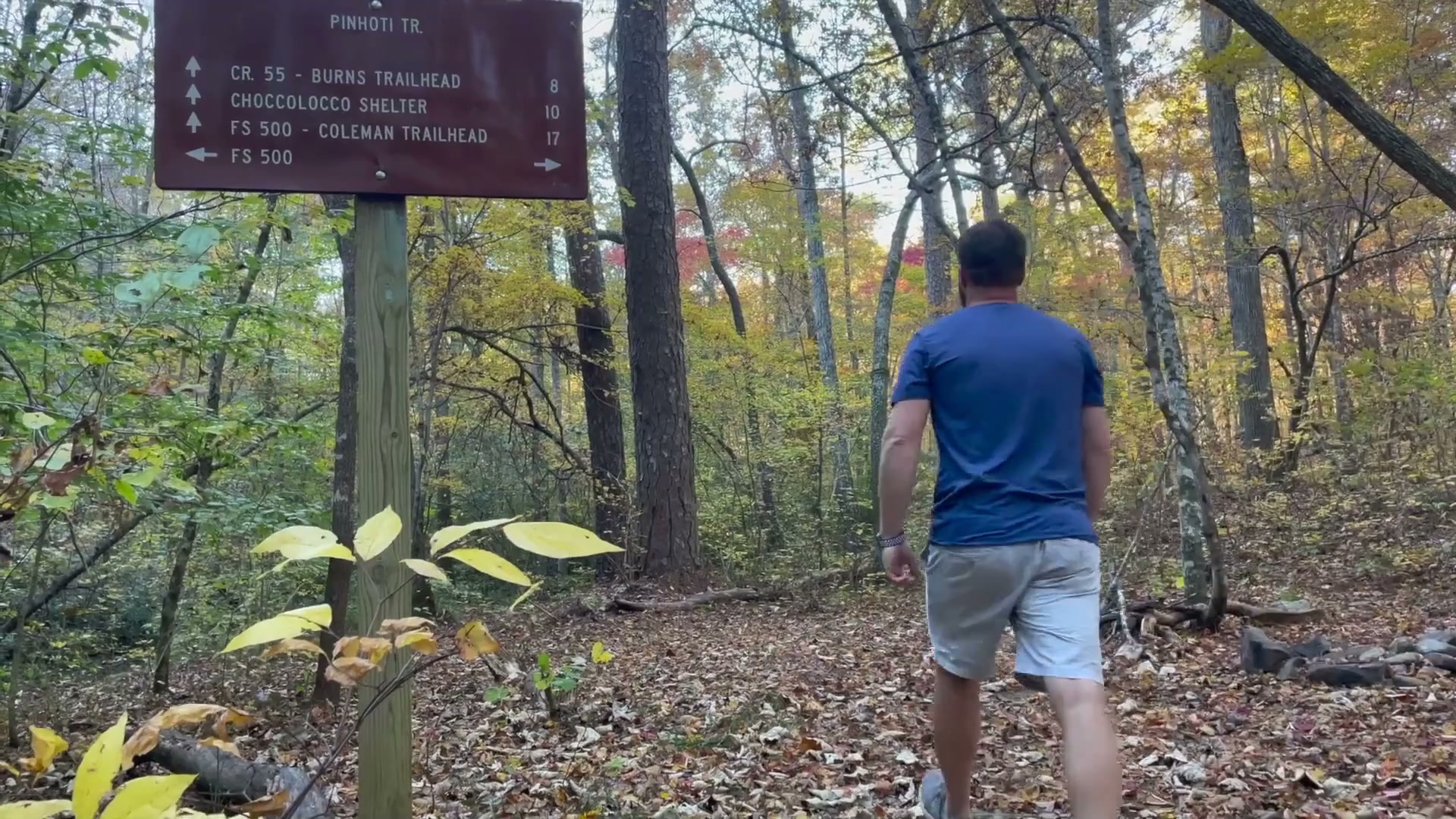 A Pinhoti Trail sign in the woods near Piedmont