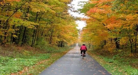 A cyclist on the Chief Ladiga Trail under fall foliage near Piedmont